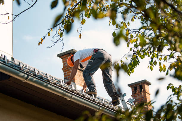Best Best Roofing Contractors  in Gouldtown, NJ